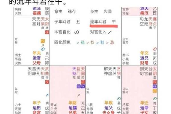 2025年3月17日丑时女命紫微斗数全解盘
