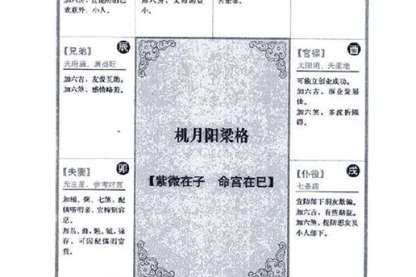 2025年3月4日寅时男命紫微斗数全解盘