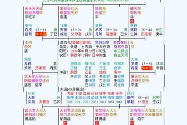 2025年2月28日子时女命紫微斗数全解盘 2025年2月28日子时女命紫微斗数全解盘