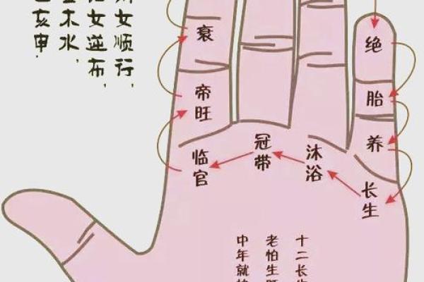 夫妻宫贪狼星_夫妻宫贪狼星旺 夫妻宫贪狼星_夫妻宫贪狼星旺